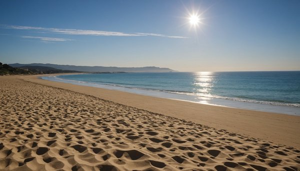 Top 5 plages incontournables d'argelès-sur-mer
