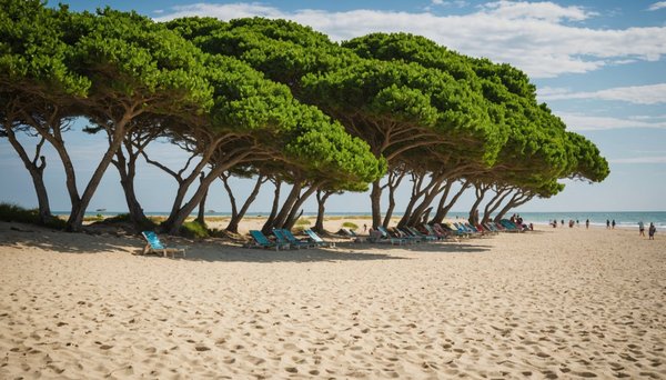 Top des plus belles plages à découvrir sur l'île de ré